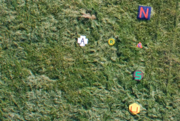 Imagery subsystem